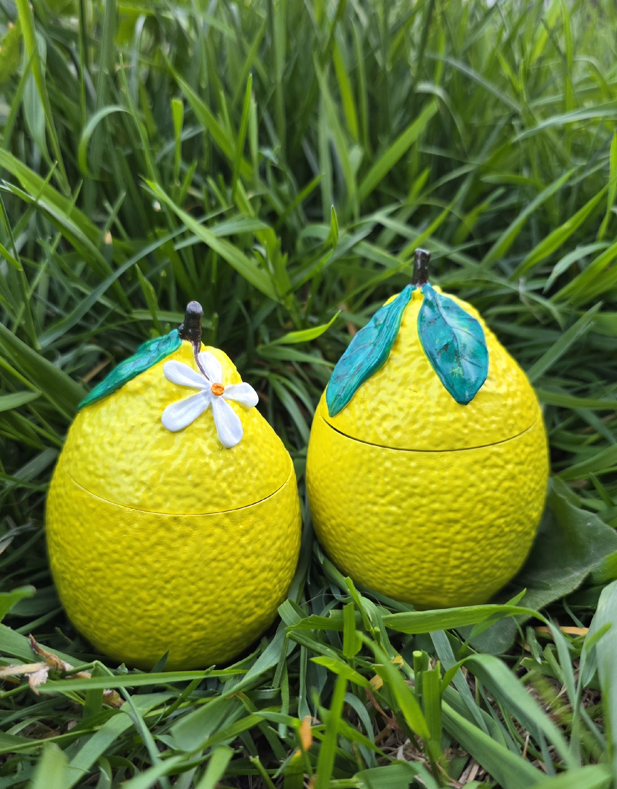 Лимоны 🍋🍋🍋 два вида с цветочком 🌸 и листочками 🍋
