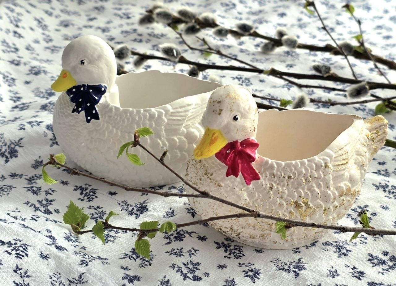 Прекрасные уточки 🦆💞